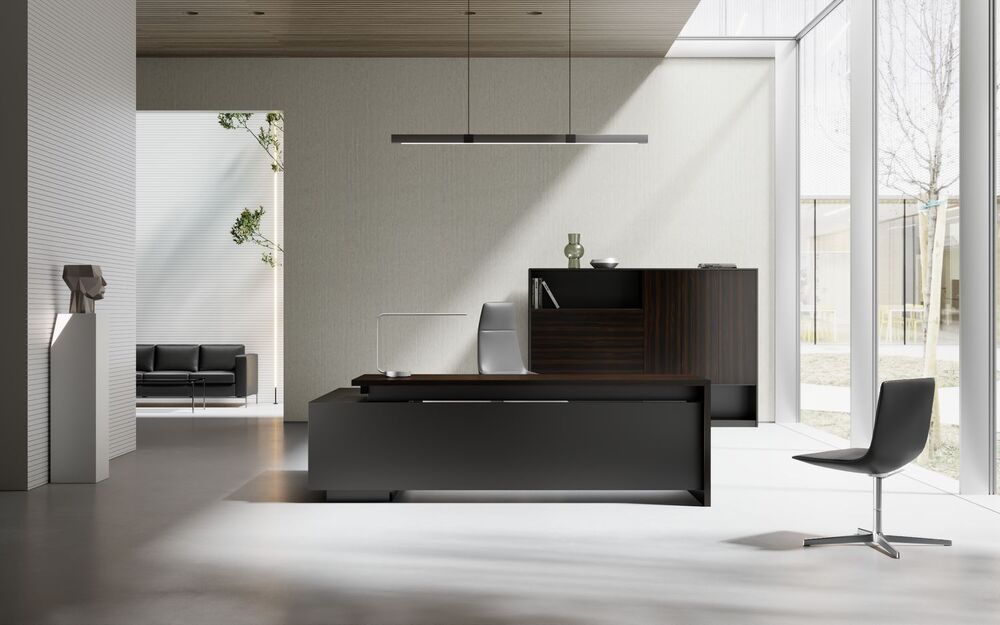 Кабинет руководителя AURUS