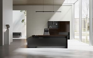 Кабинет руководителя AURUS