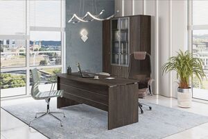 Кабинет руководителя Vasanta