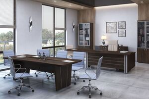 Кабинет руководителя Vasanta