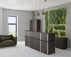 Кабинет руководителя Vasanta