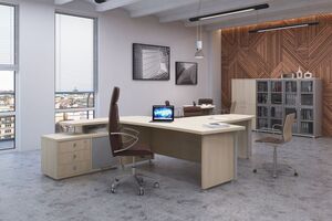 Кабинет руководителя Vasanta