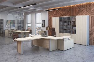 Кабинет руководителя Vasanta