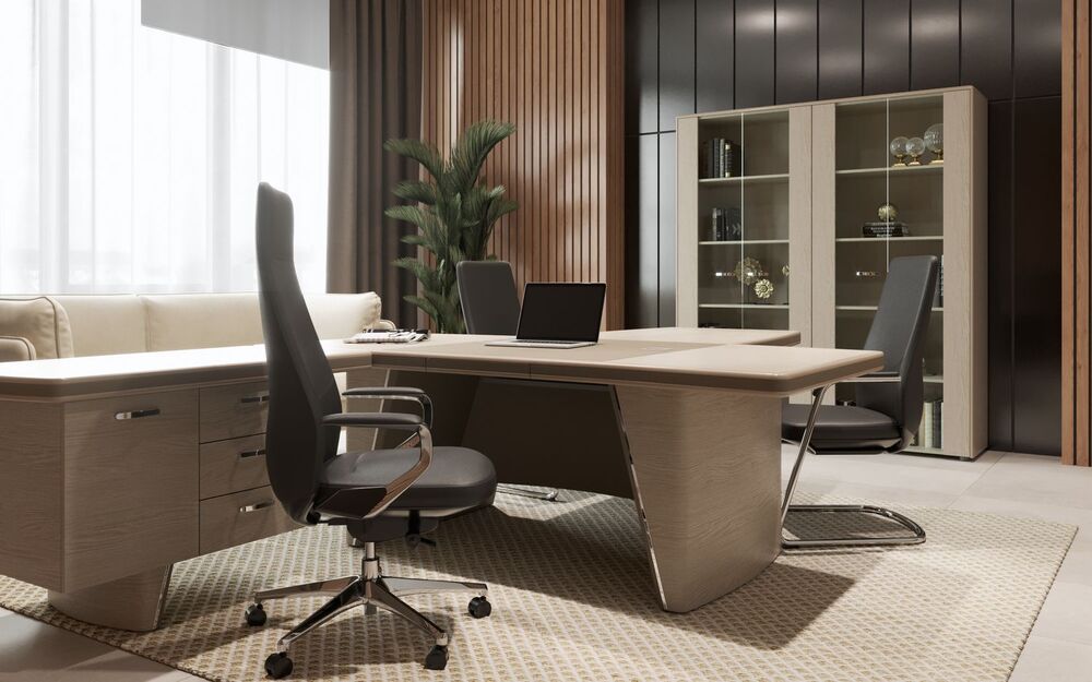 Кабинет руководителя New.Tone