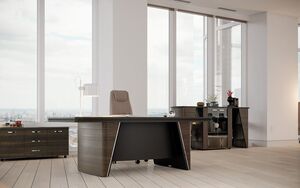 Кабинет руководителя New.Tone