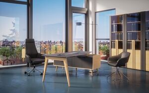 Кабинет руководителя Remo