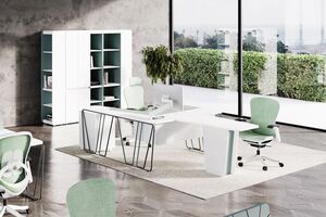 Кабинет руководителя ARTVISION