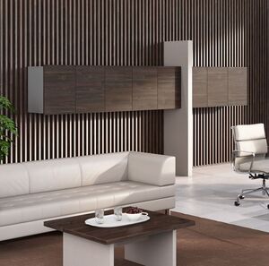 Кабинет руководителя ERA