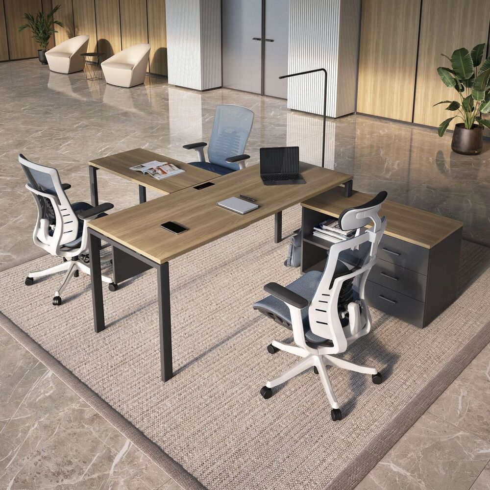 Кабинет руководителя Evolution