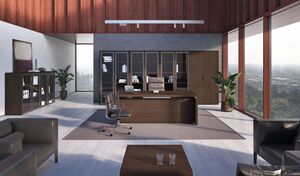 Кабинет руководителя TRIUMF