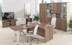 Кабинет руководителя Модерн