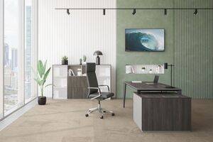 Кабинет руководителя Atlas