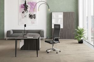 Кабинет руководителя Atlas