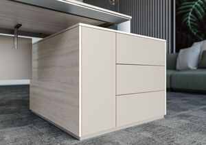 Кабинет руководителя Atlas