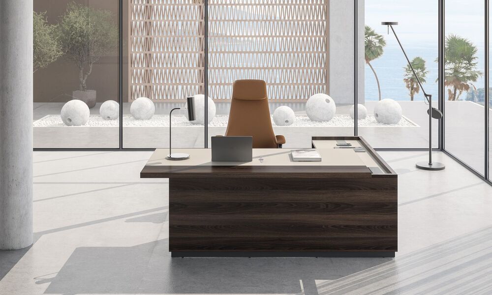 Кабинет руководителя REEF