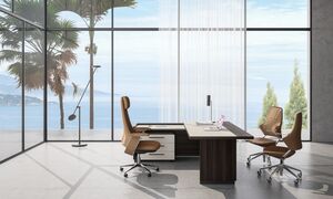 Кабинет руководителя REEF