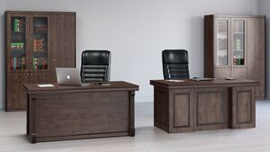 Кабинет руководителя Bern