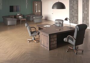 Кабинет руководителя Bern