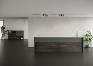 Кабинет руководителя Dali