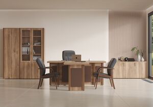 Кабинет руководителя Monza