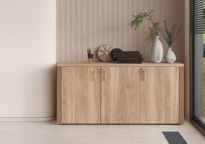 Кабинет руководителя Monza