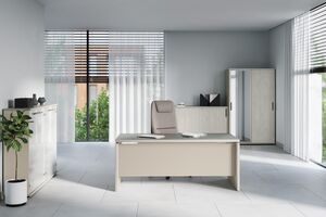 Кабинет руководителя New Line