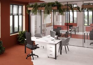 Кабинет руководителя Trend