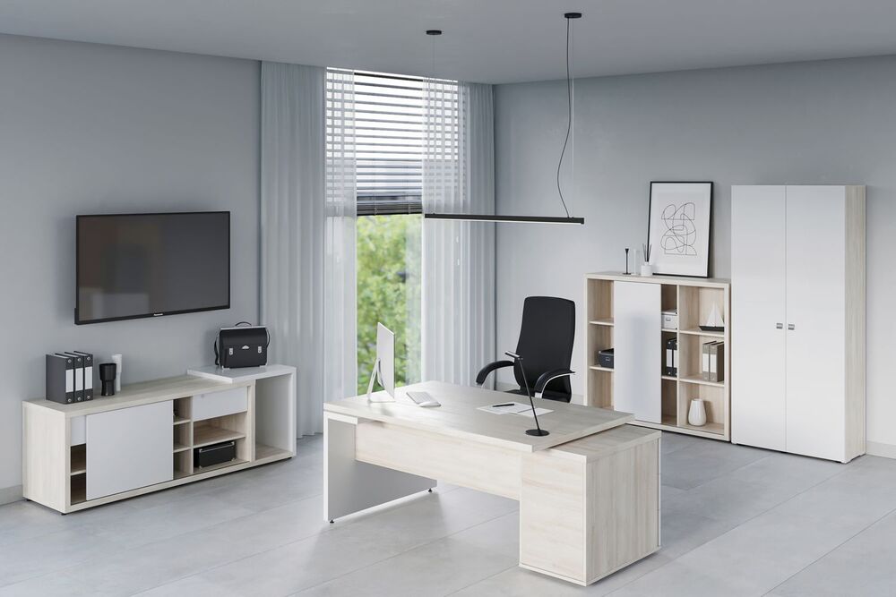 Кабинет руководителя Zion