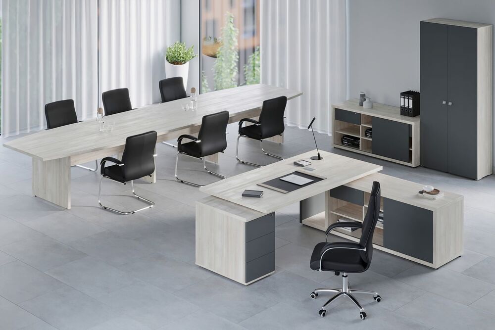 Кабинет руководителя Zion