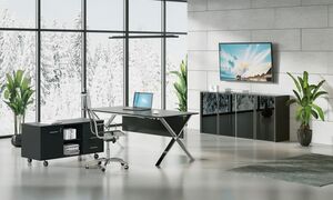 Кабинет руководителя Ancona