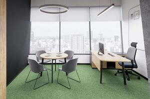 Кабинет руководителя FLEX