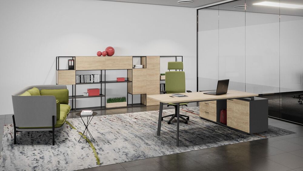 Кабинет руководителя FLEX