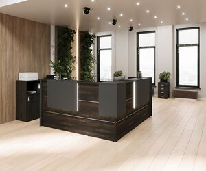 Мебель для приемной ONIX