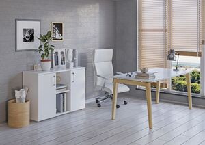 Кабинет руководителя ONIX WOOD DIRECT