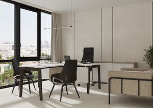 Кабинет руководителя ONIX WOOD DIRECT