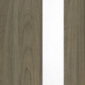 Вяз Благородный/Белый