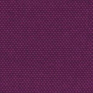 Фуксия Luna 24