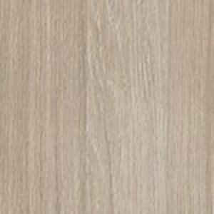 Вяз либерти