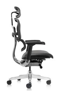 Кресло для руководителя Ergohuman Elite 2