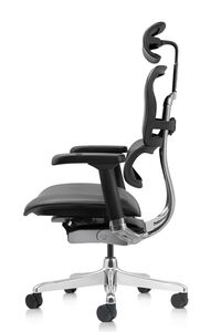 Кресло для руководителя Ergohuman Elite 2