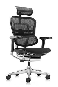 Кресло для руководителя Ergohuman Elite 2