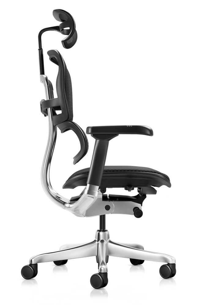Кресло для руководителя Ergohuman Elite 2