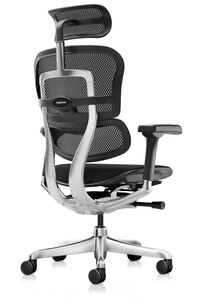 Кресло для руководителя Ergohuman Elite 2