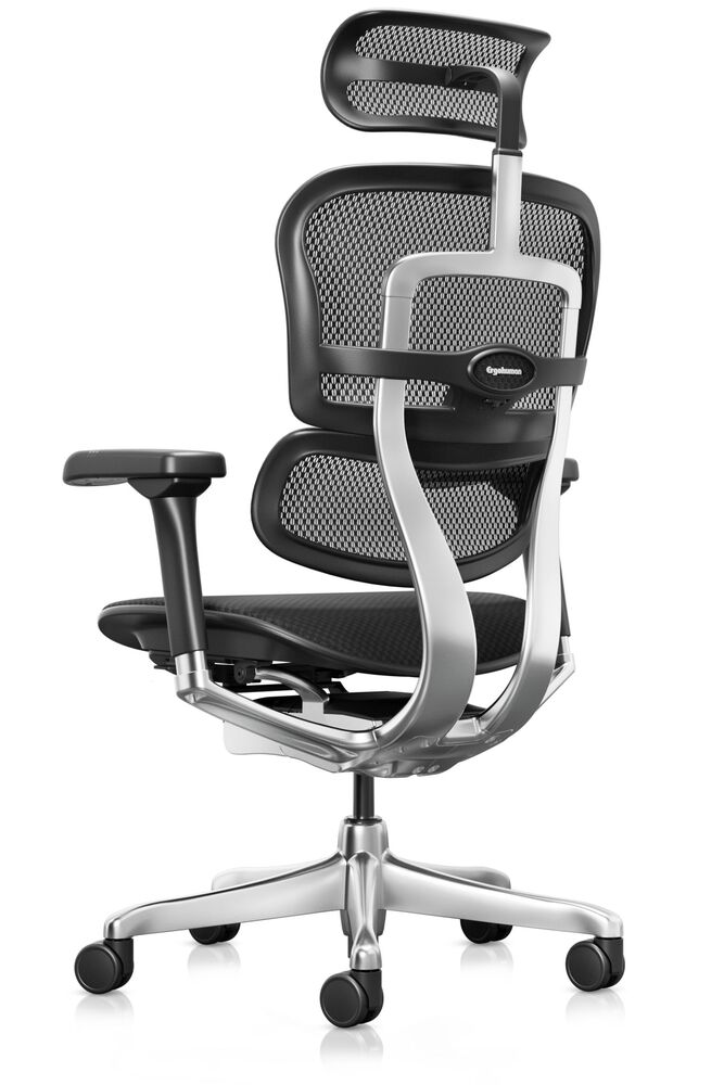 Кресло для руководителя Ergohuman Elite 2
