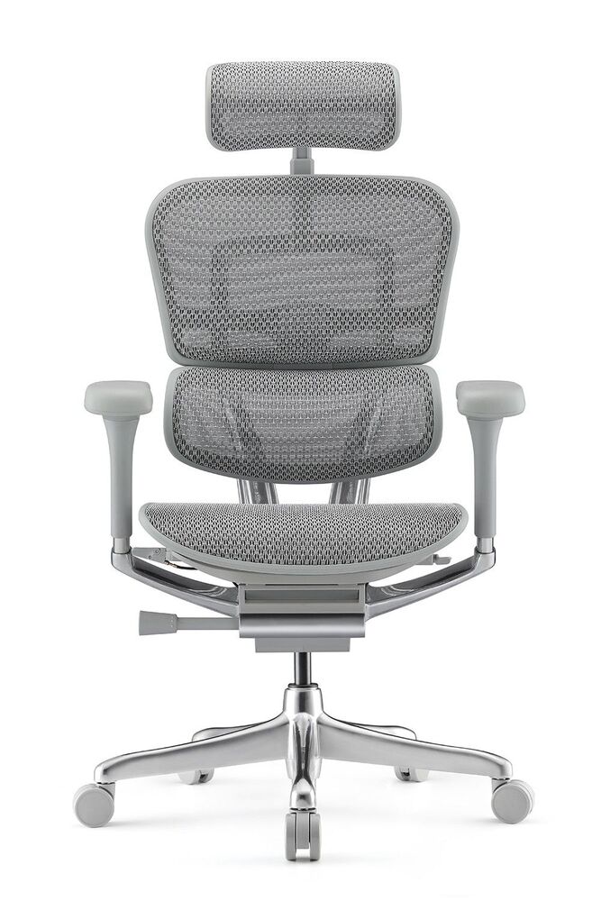 Кресло для руководителя Ergohuman Elite 2