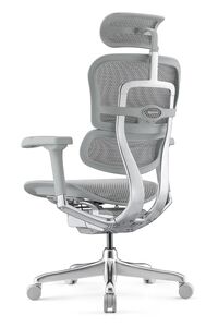 Кресло для руководителя Ergohuman Elite 2