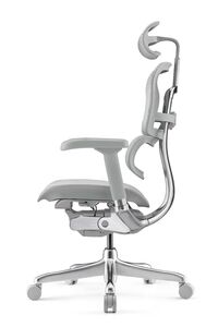 Кресло для руководителя Ergohuman Elite 2