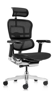 Кресло для руководителя Ergohuman Luxury 2