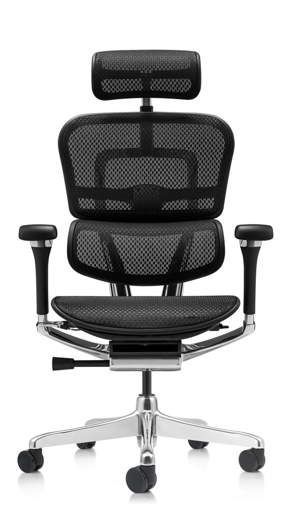 Кресло для руководителя Ergohuman Luxury 2