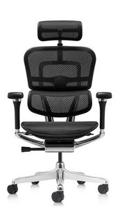 Кресло для руководителя Ergohuman Luxury 2